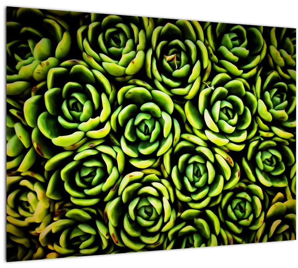 Tablou pe sticlă cu flori de piatră (70x50 cm)