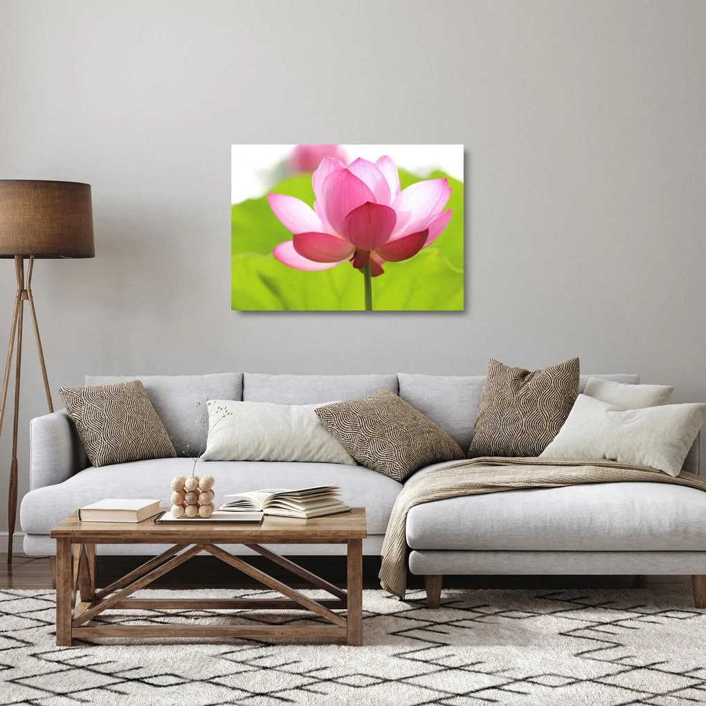 Tablou pe sticlă cu flori de lotus (70x50 cm)