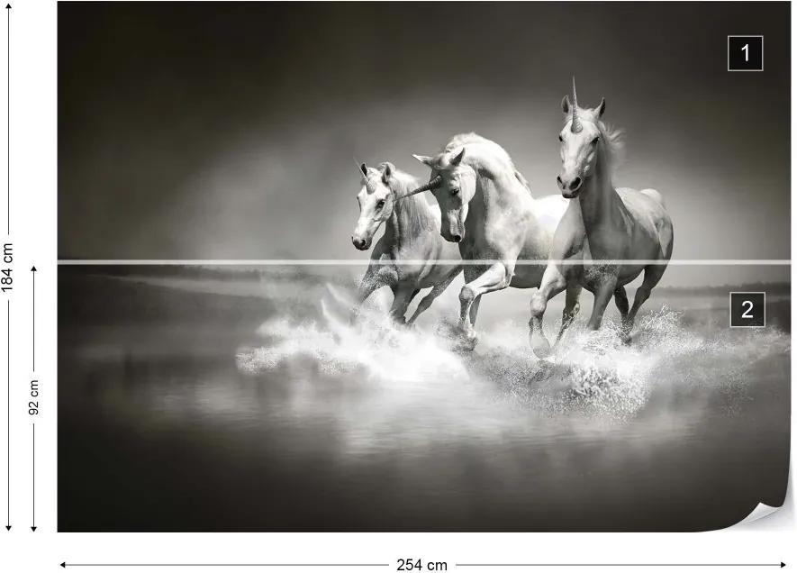 GLIX Fototapet - Unicorns Horses Black And White Vliesová tapeta  - 254x184 cm