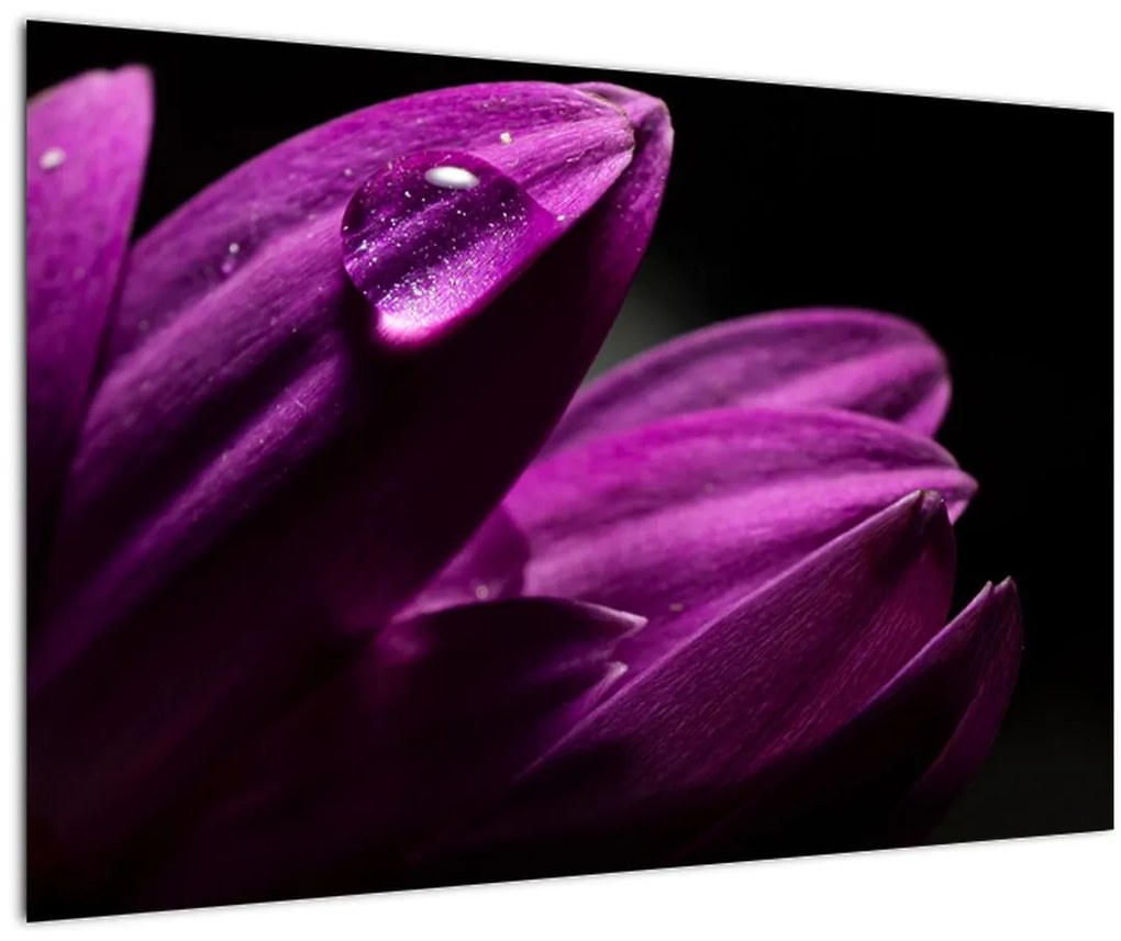 Tablou - Picătura de apă (90x60 cm)