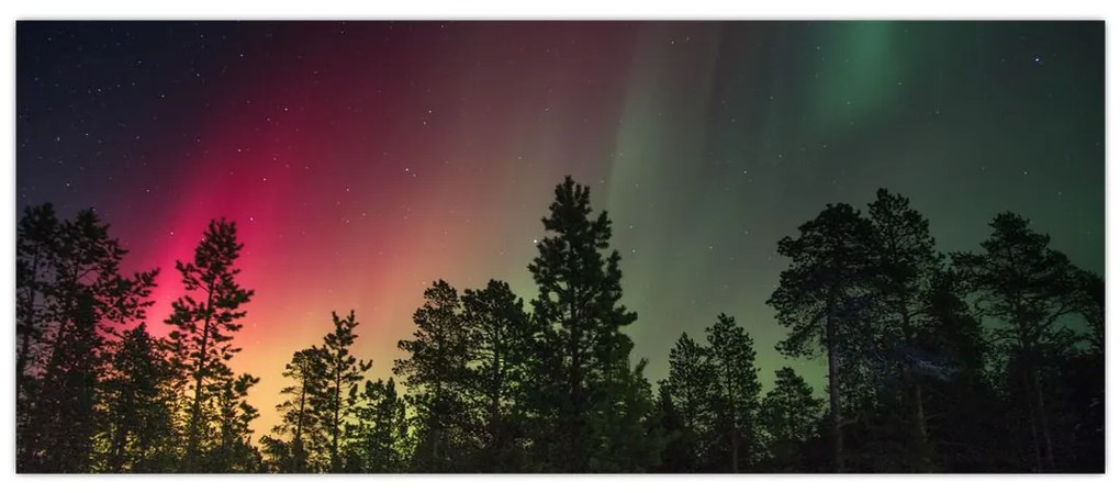 Tablou cu Northern Lights (120x50 cm)