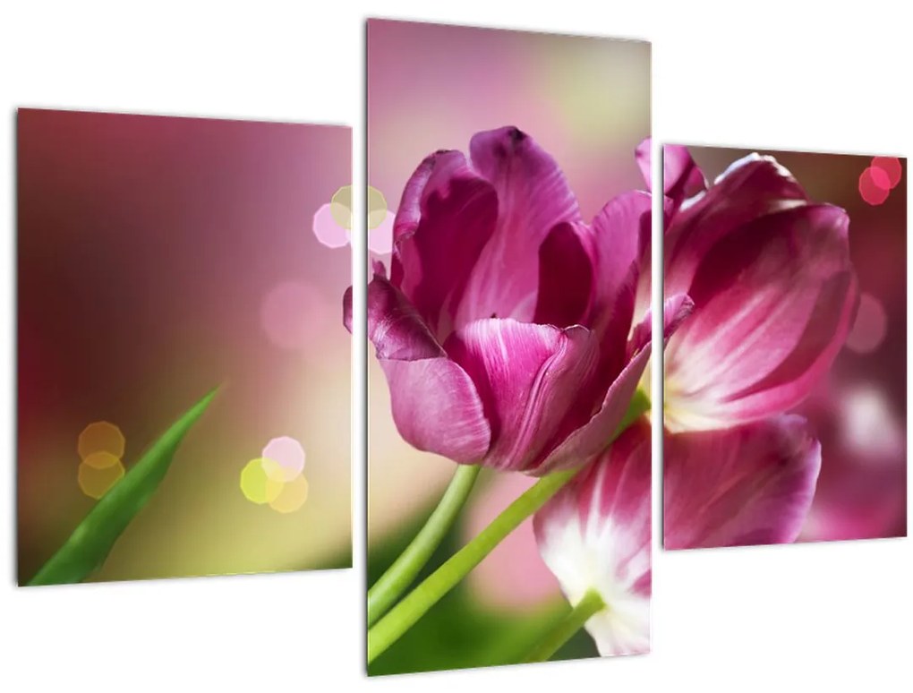 Tablou cu lalele roz (90x60 cm)