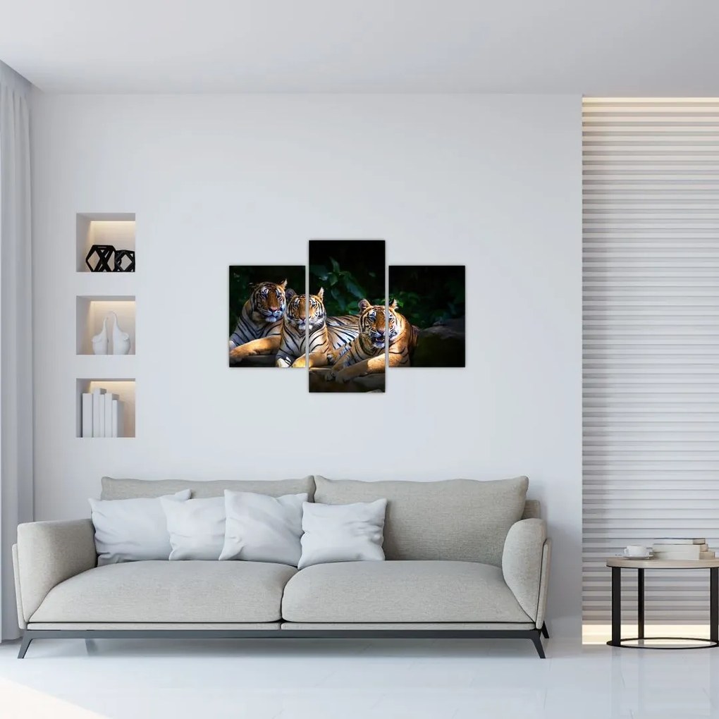 Tablou - Tigrii frați (90x60 cm)