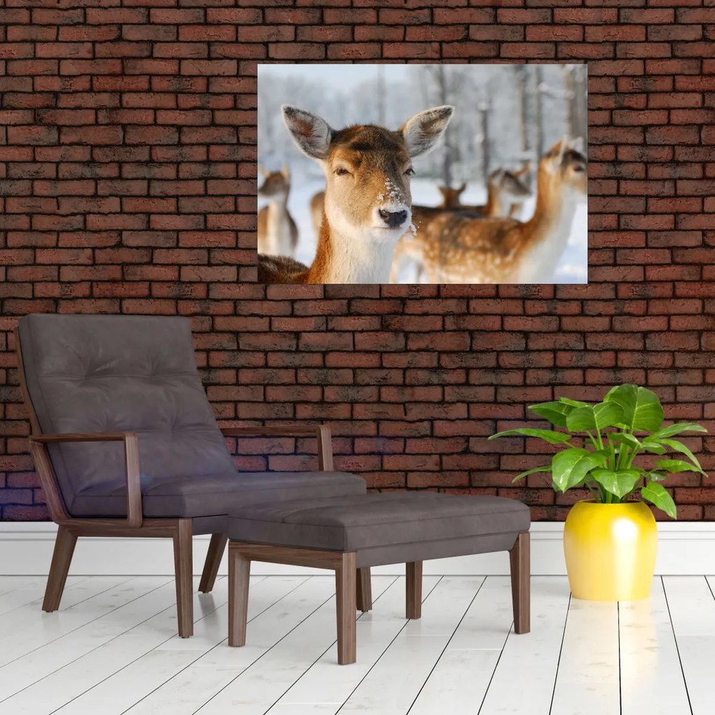 Tablou - Cerbi (90x60 cm)