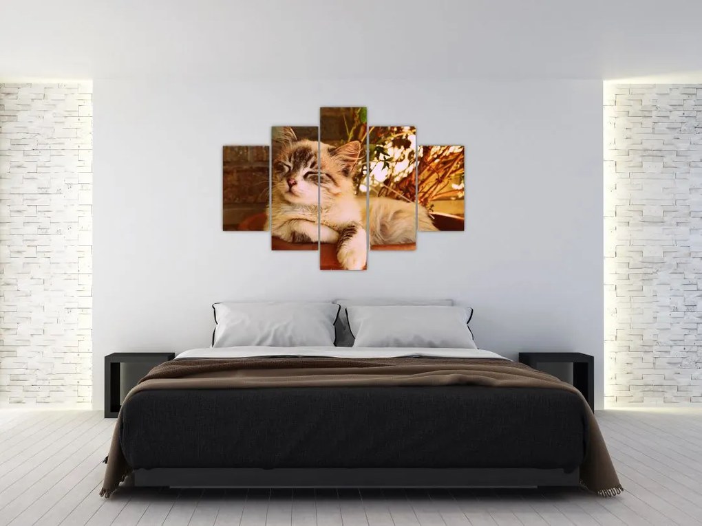 Tablou cu pisica în ghiveci (150x105 cm)