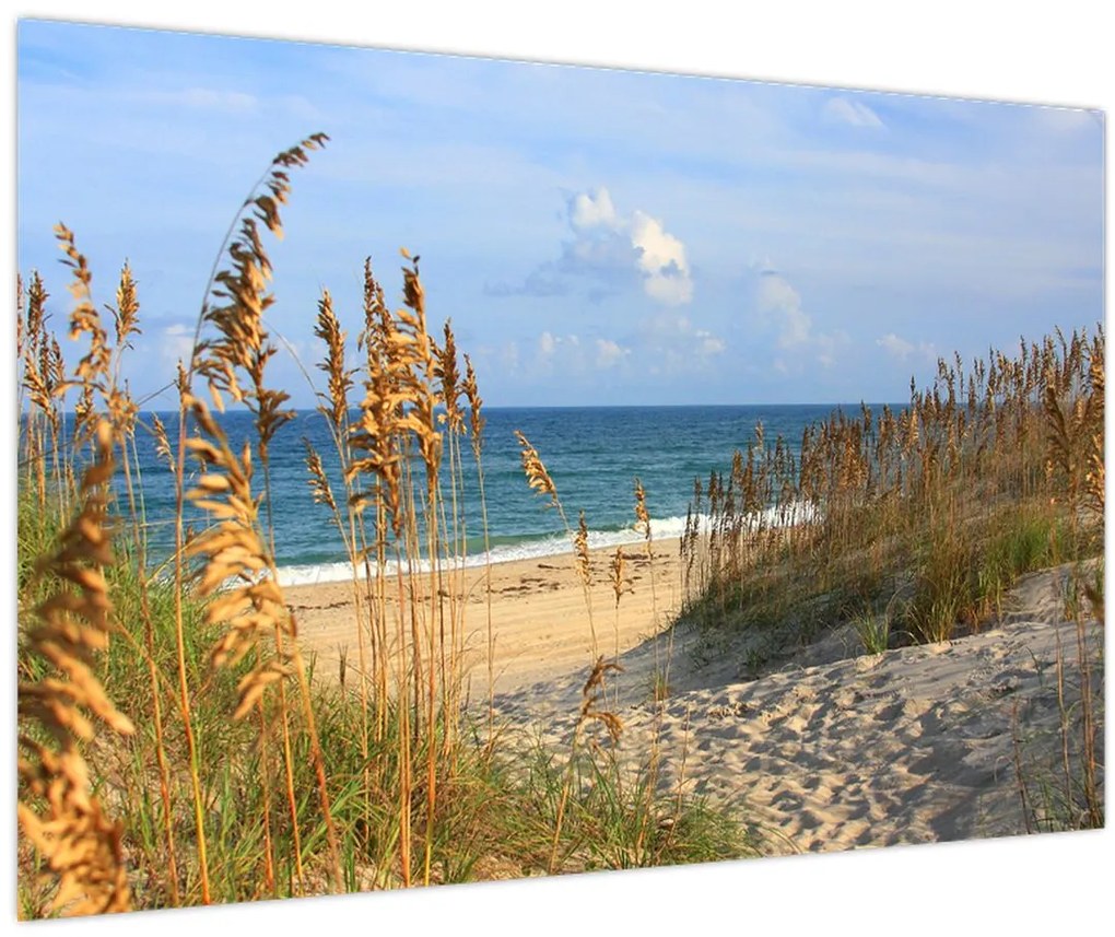 Tablou - Plajă (90x60 cm)