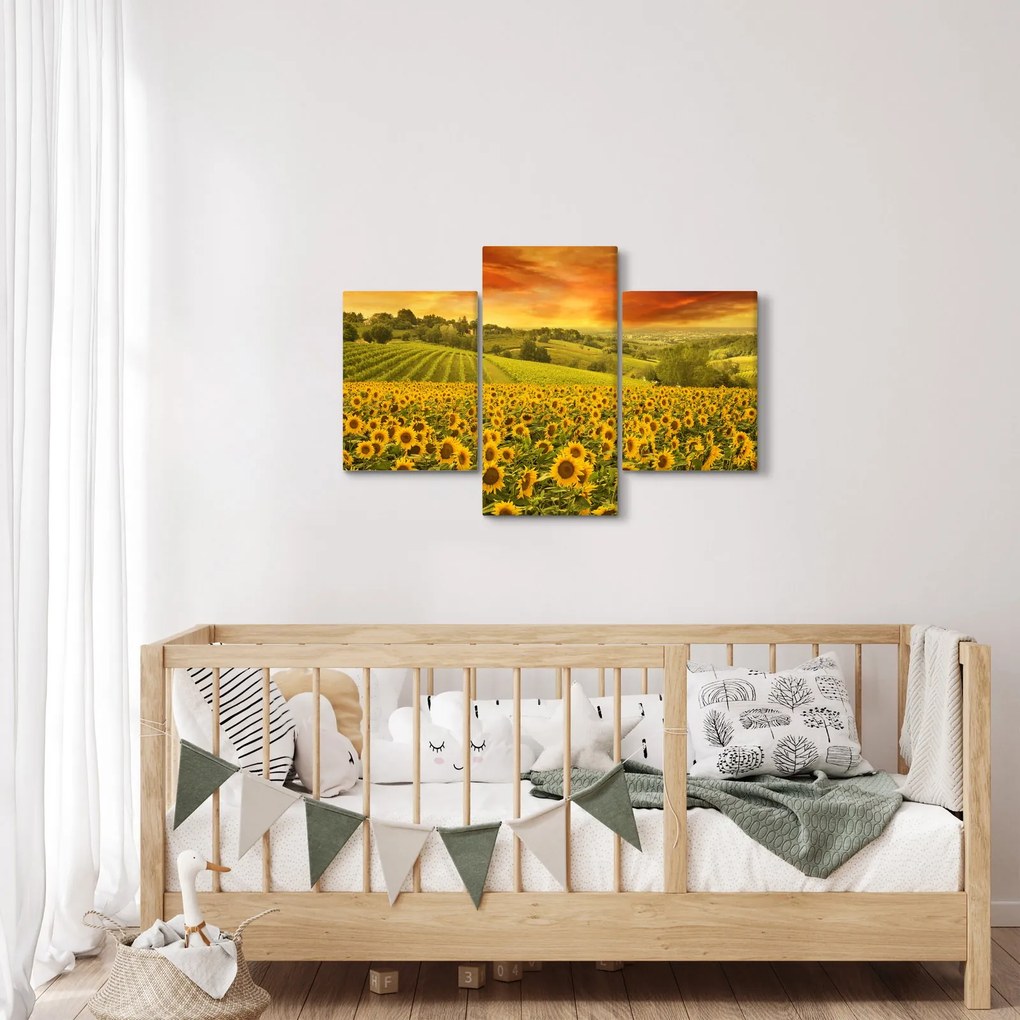 Tablou - Câmp de floarea-soarelui (90x60 cm)