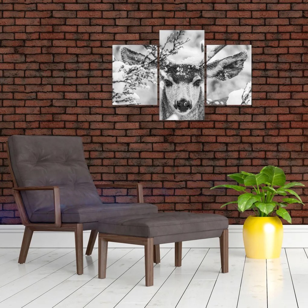 Tablou - Cerb în timpul iernii (90x60 cm)