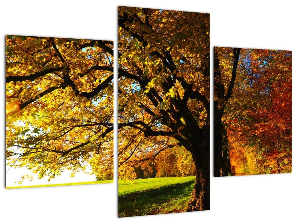 Tablou cu toamna (90x60 cm)