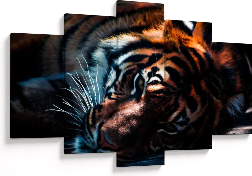 Tablou cu tigrul dormind (150x105 cm)