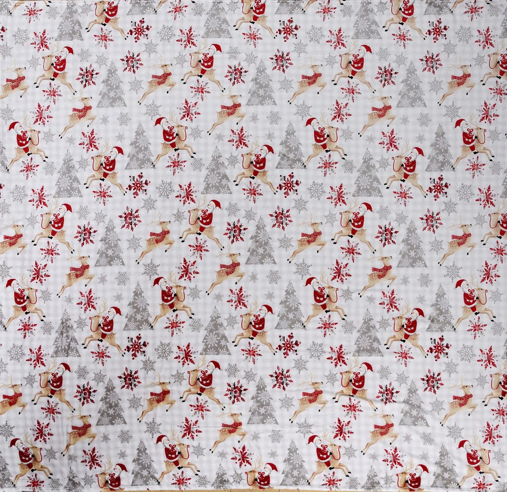 Patura alba din microplus de Craciun POLUL NORD Dimensiune: 200 x 220 cm
