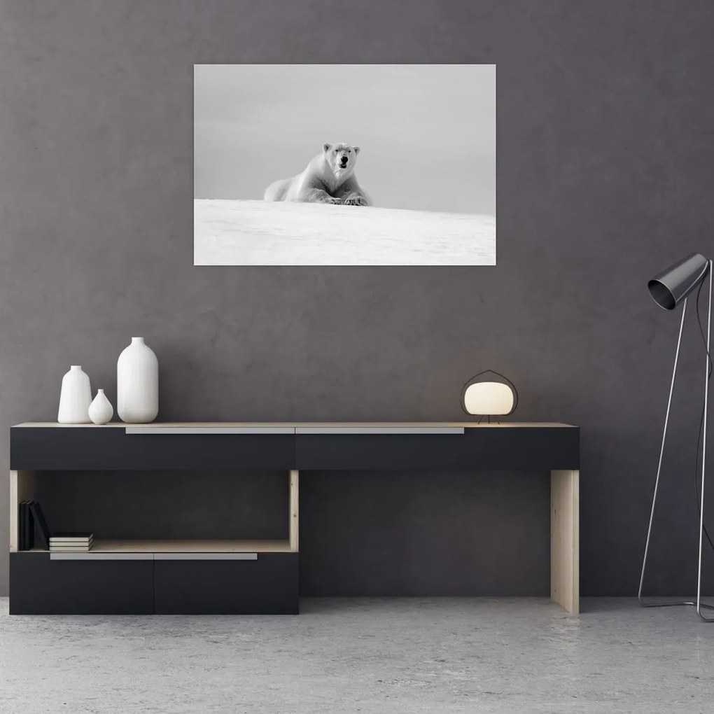 Tablou - Ursul polar (90x60 cm)