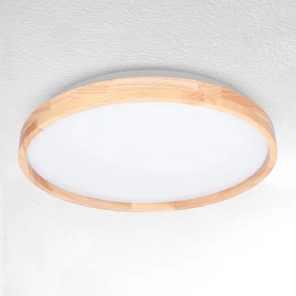 Brilagi - Plafonieră LED dimabilă ALSON LED/48W/230V 3000-6500K + telecomandă