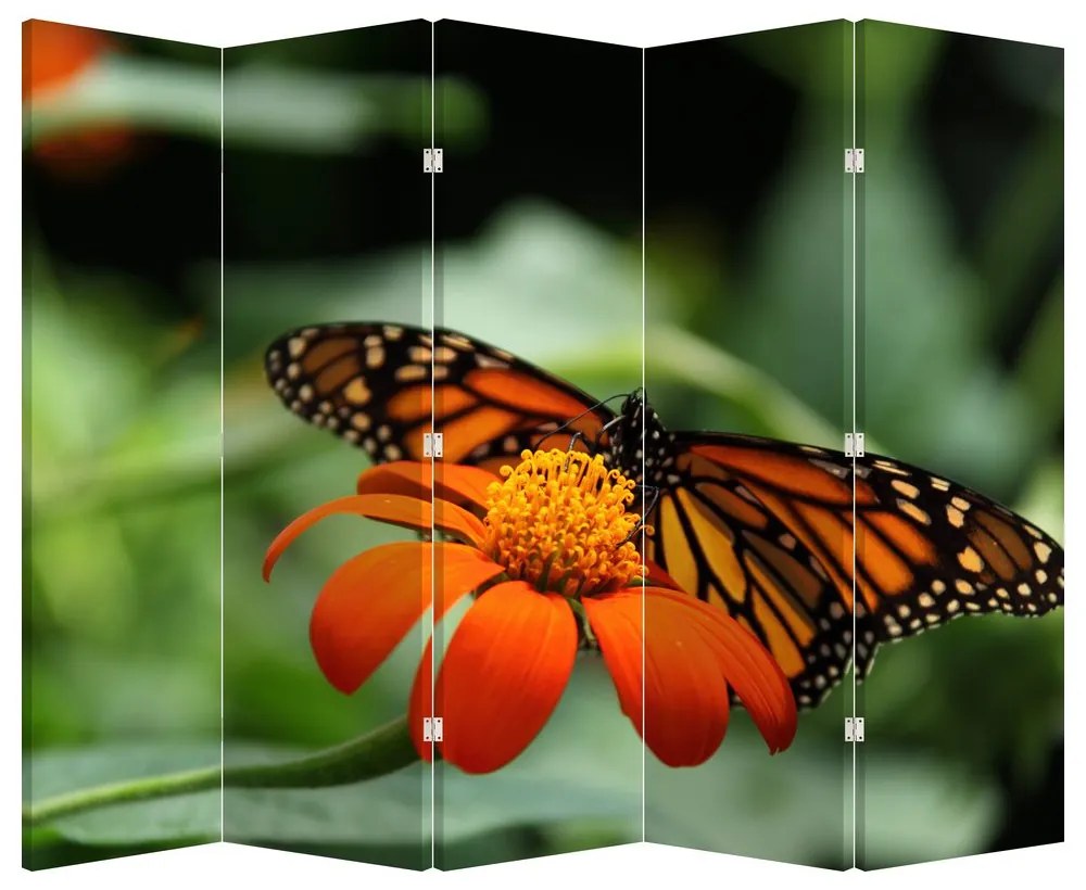 Paravan - Fluture pe floare (210x170 cm)