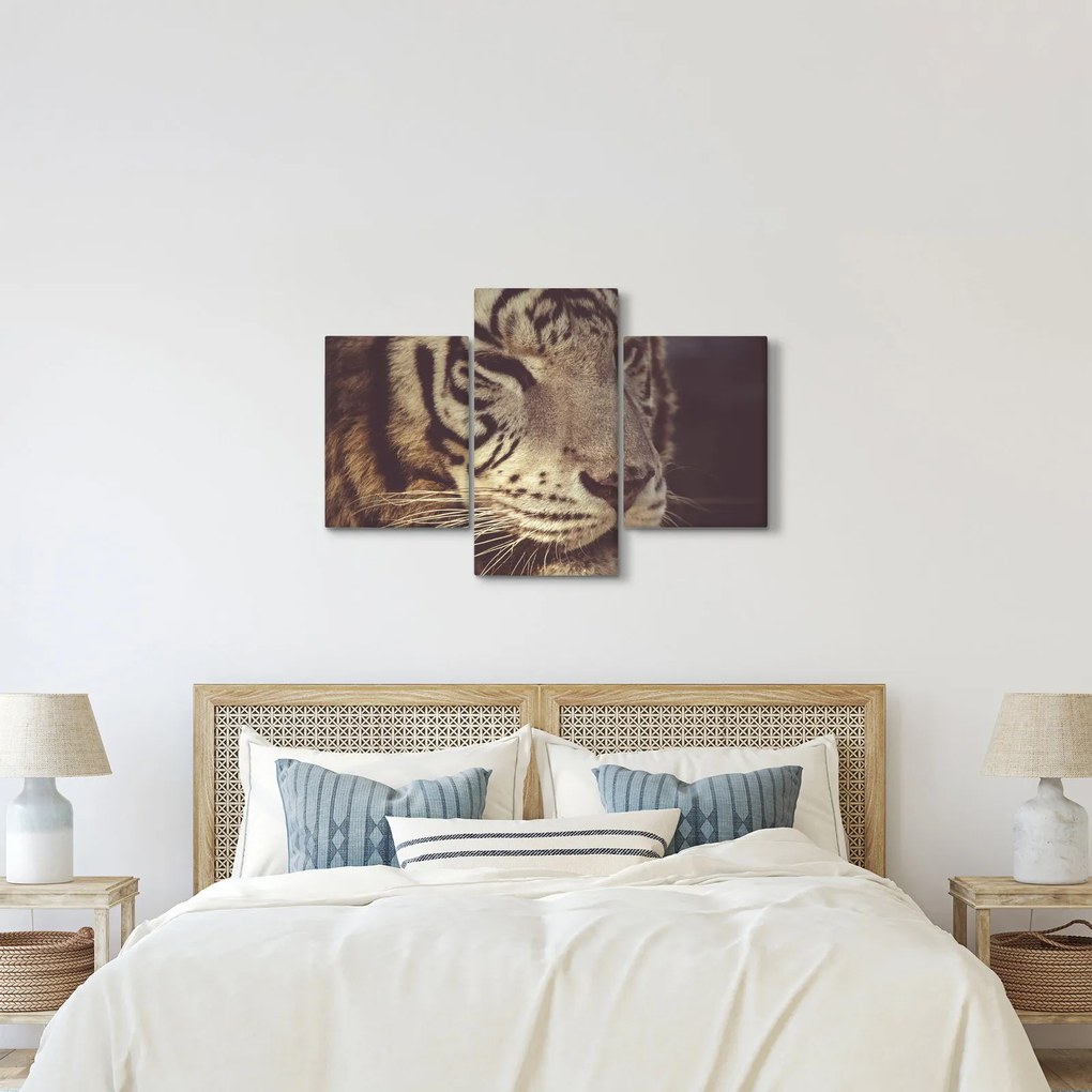 Tablou cu tigrul (90x60 cm)