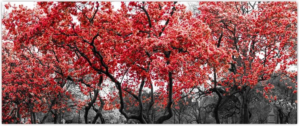 Tablou - Copacii roșii, Central Park, New York (120x50 cm)