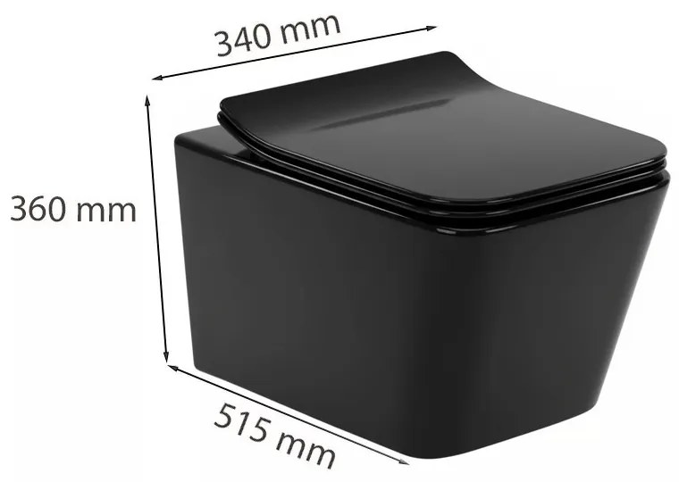 Roya Tina 82CHR set rezervor de toaletă de perete negru