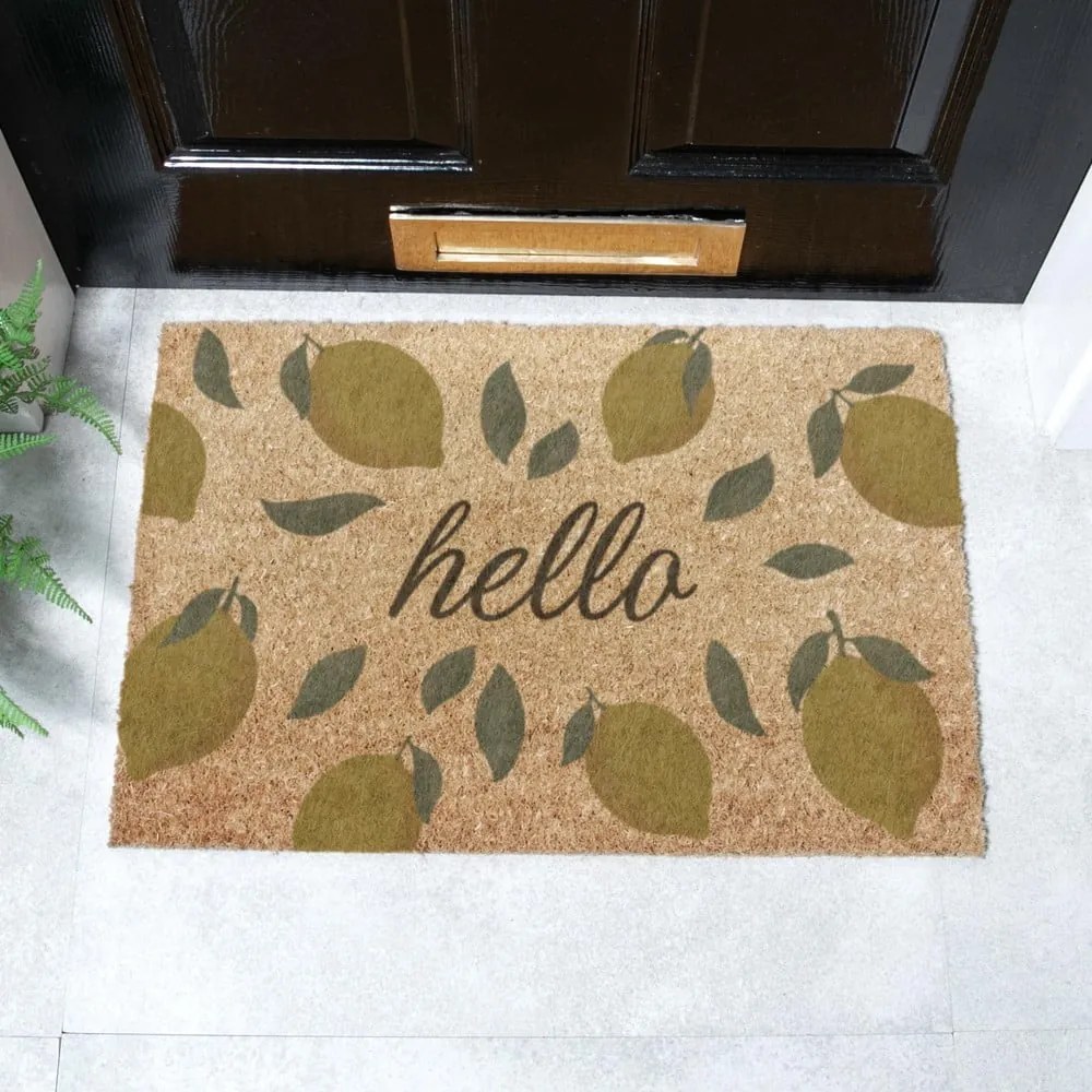 Covoraș de intrare din fibre de nucă de cocos 40x60 cm Hello Lemons – Artsy Doormats