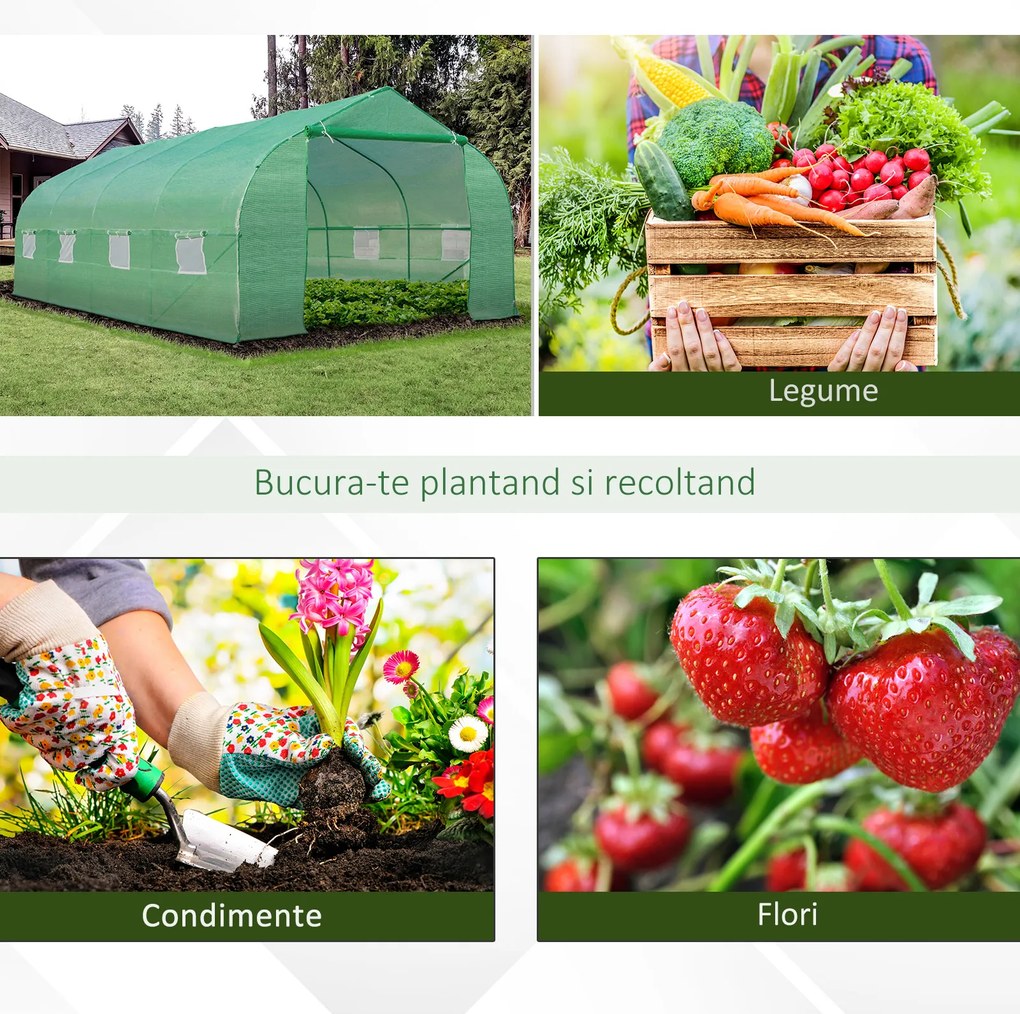 Outsunny Sera Gradina Verde Pentru Legume 6x3x2 | Aosom Romania