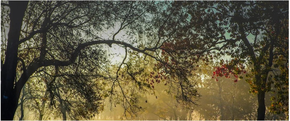 Tablou cu răsărit de soare (120x50 cm)