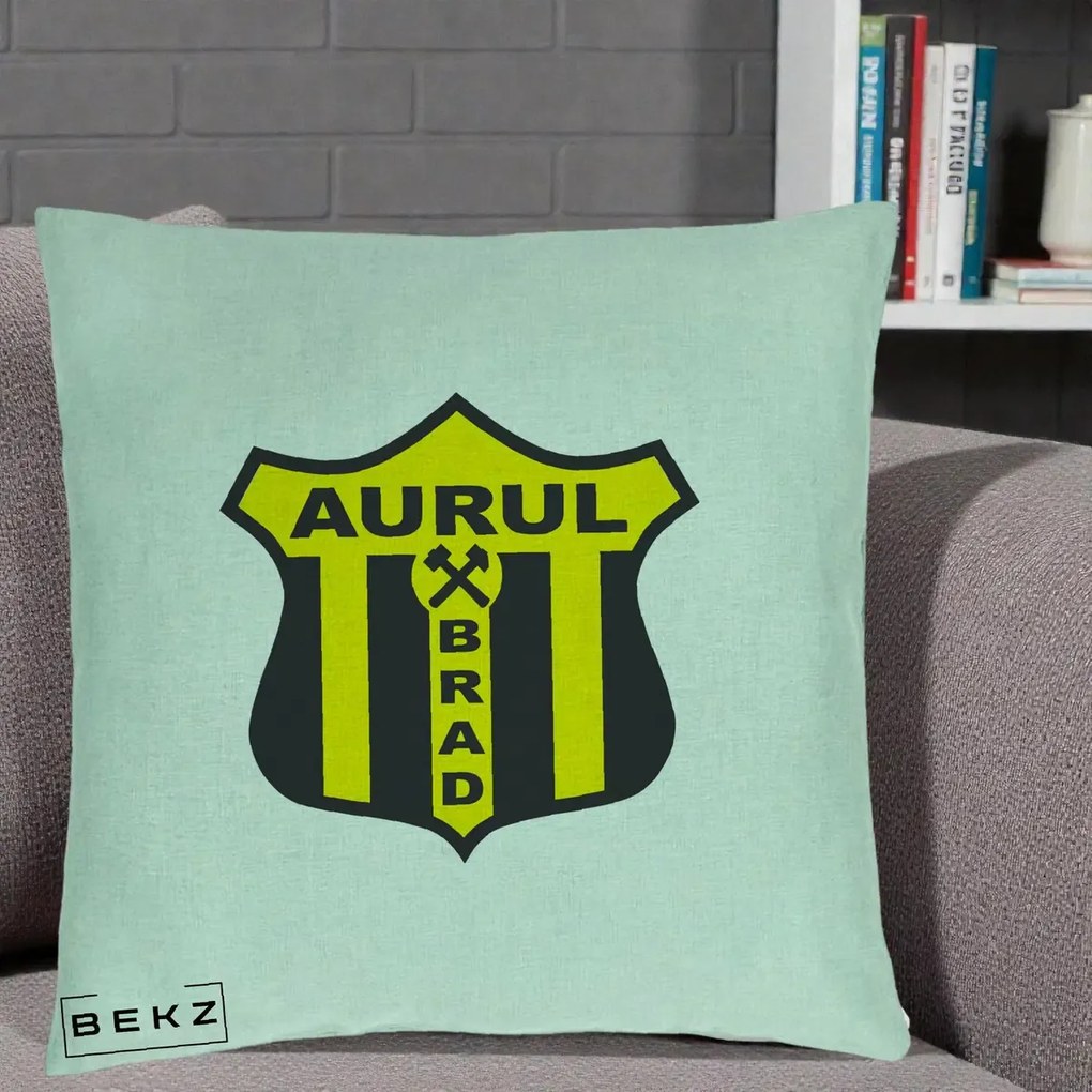 Perna Personalizata Aurul Brad Fotbal, 40x40 cm, Verde Menta, Husa Detasabila, Perna Inclusa, BEKZ®