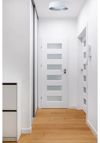 LED Plafonieră GALAXY 24W 230V alb/argintiu