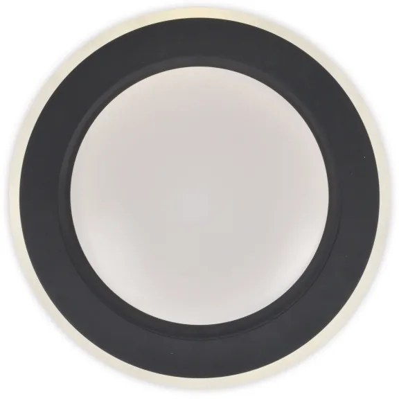 Plafonieră LED dimabilă LED/60W/230V neagră Top Light + telecomandă