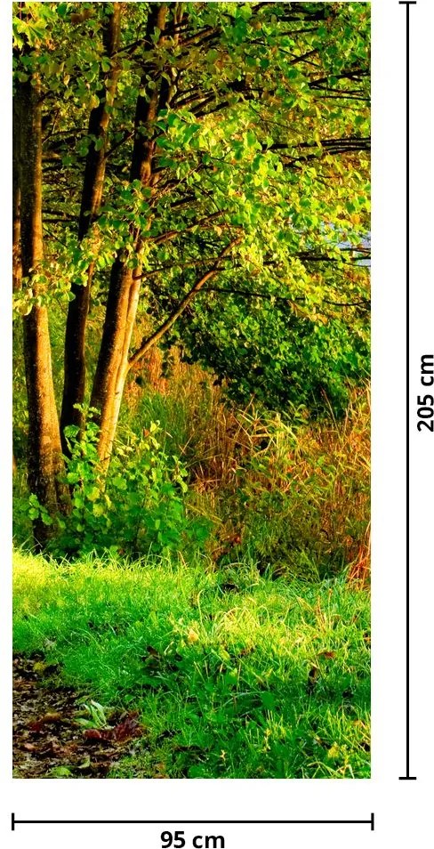 Fototapet pentru ușă - Cărarea de-a lungul apei (95x205cm)
