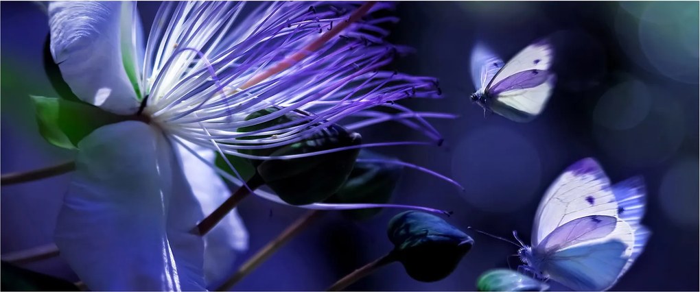 Tablou - Floare tropicală (120x50 cm)
