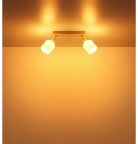 Globo 54114-2 - Spot TRENT 2xE14/25W/230V