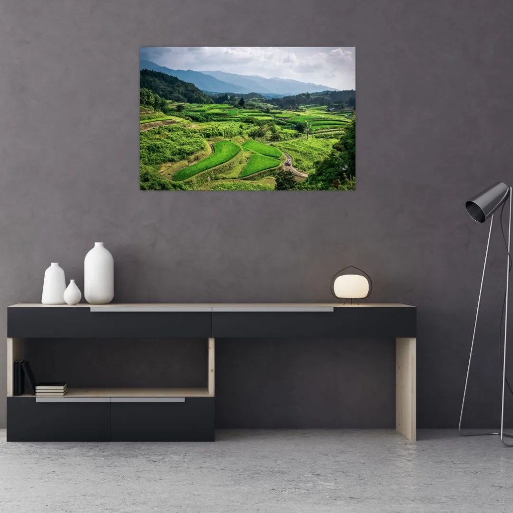Tablou cu câmp de orez (90x60 cm)