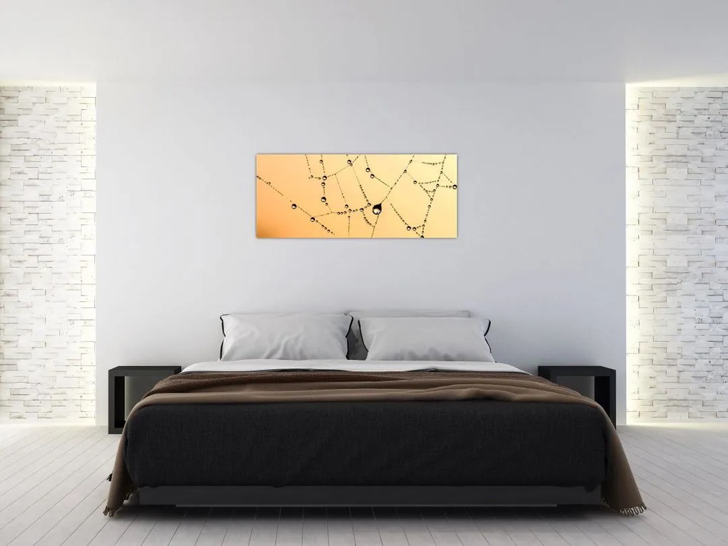 Tablou cu pânză de pâianjen cu rouă (120x50 cm)