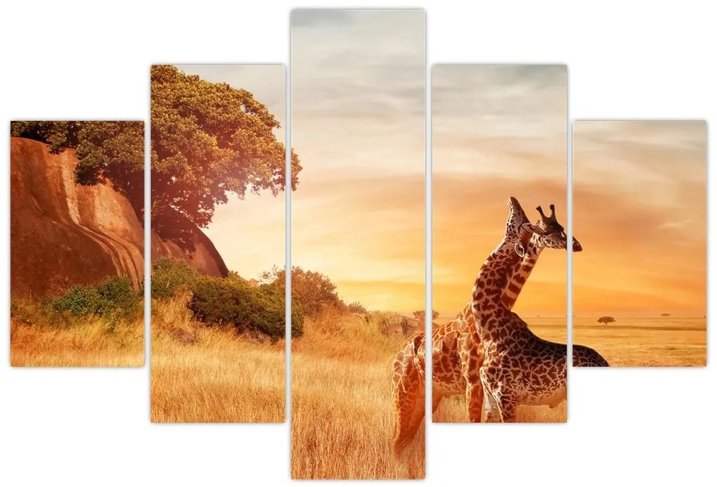 Tablou Girafe în Africa (150x105 cm)