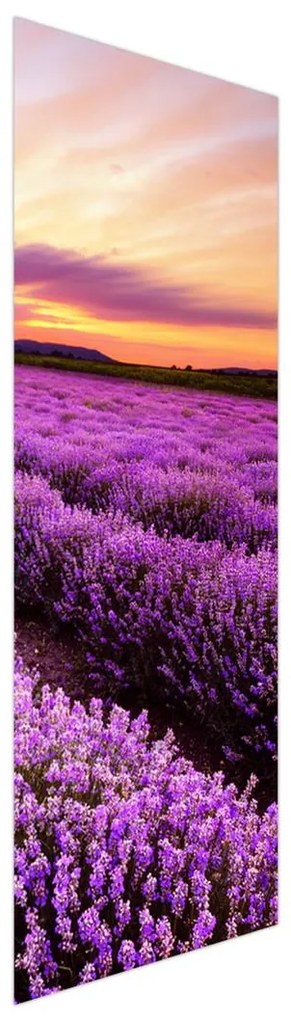 Fotojaluzele R012174R57150 (57x150 cm)