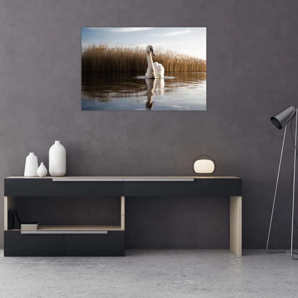 Tablou cu lebăda (90x60 cm)