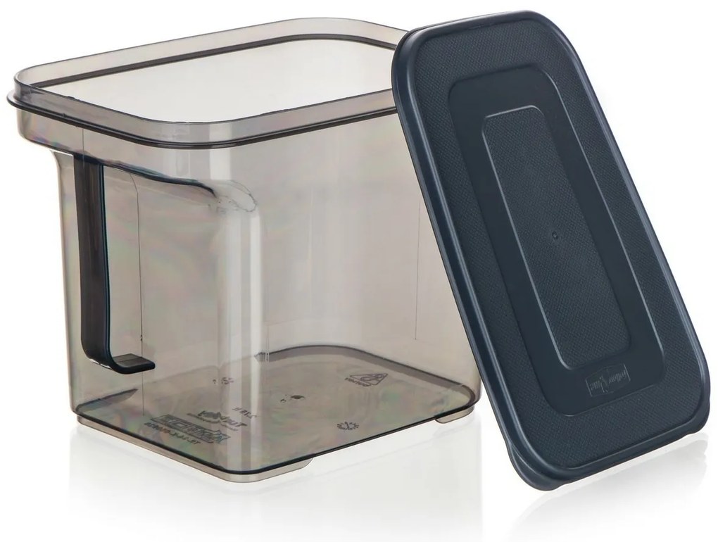 Banquet Cutie de depozitare cu mâner ZOYA 2,75 l,fumurie, 2,75 l