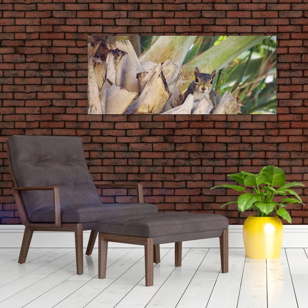 Tablou cu veverița în copaci (120x50 cm)
