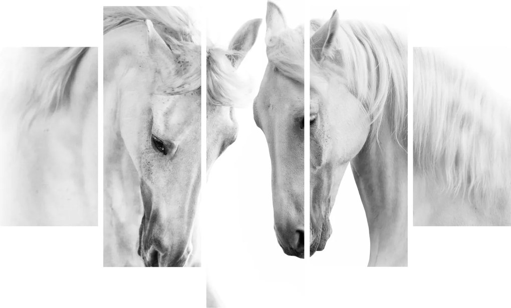 Tablou - Cai albi (150x105 cm)