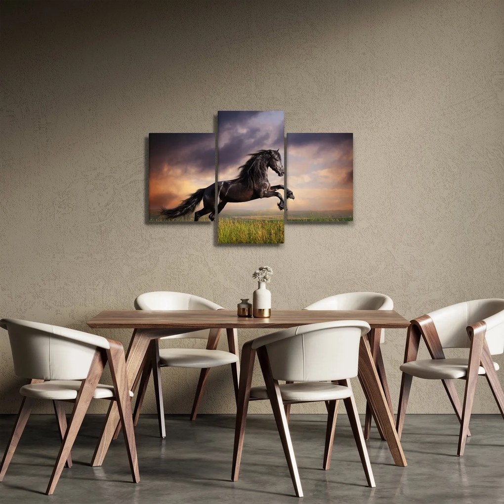 Tablou - Cai (90x60 cm)