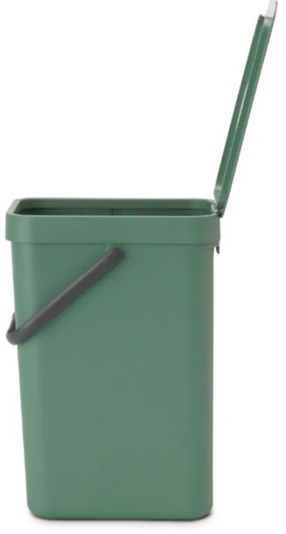 Cos colectare selectiva a deseurilorBrabantia Sort&Go 1003234, 12 L, Maner, Montabil pe perete, Verde inchis