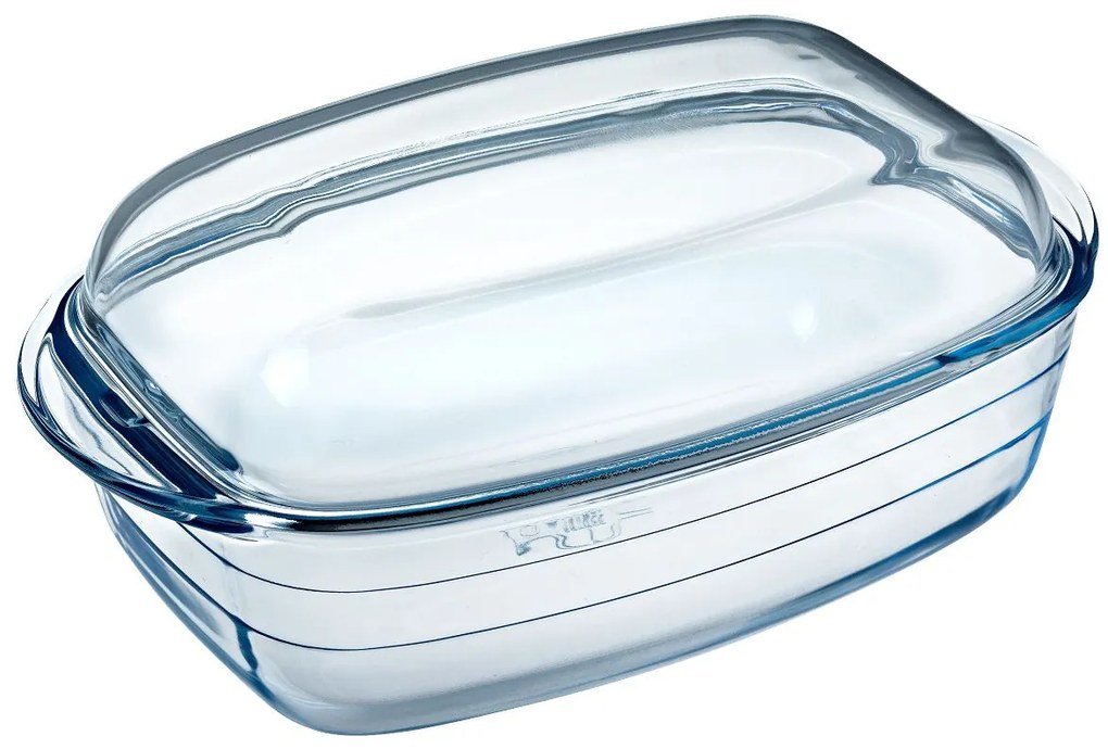 Vas termorezistent capac 6,5L