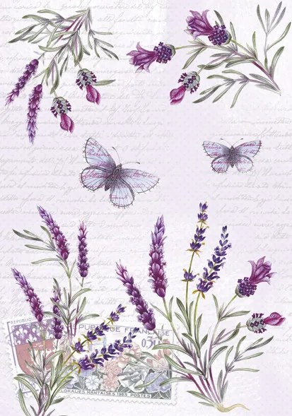 Colorat Butterfly Mapa A/4 cu elastic Levănțică