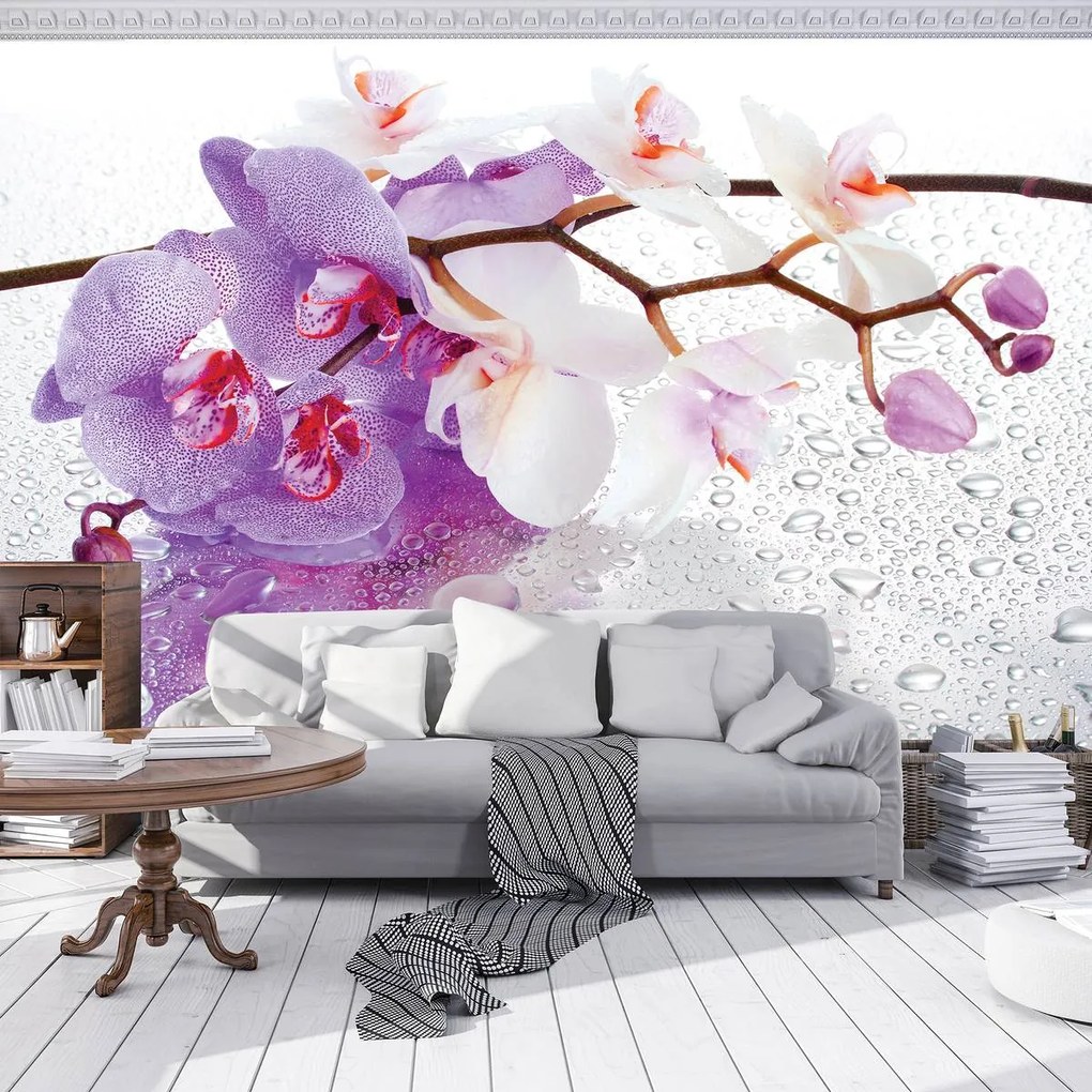 Fototapet - Orhidee (152,5x104 cm)