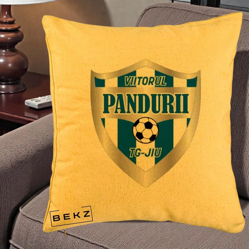 Perna Personalizata Pandurii Targu Jiu Fotbal, 40x40 cm, Galben, Husa Detasabila, Perna Inclusa, BEKZ®