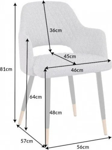 Set de 2 scaune elegante Paris gri deschis