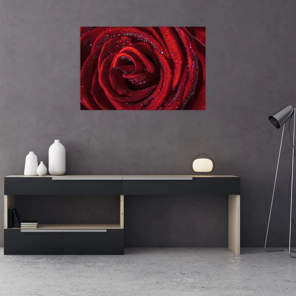Tablou - Trandafir roșu cu picături de rouă (90x60 cm)
