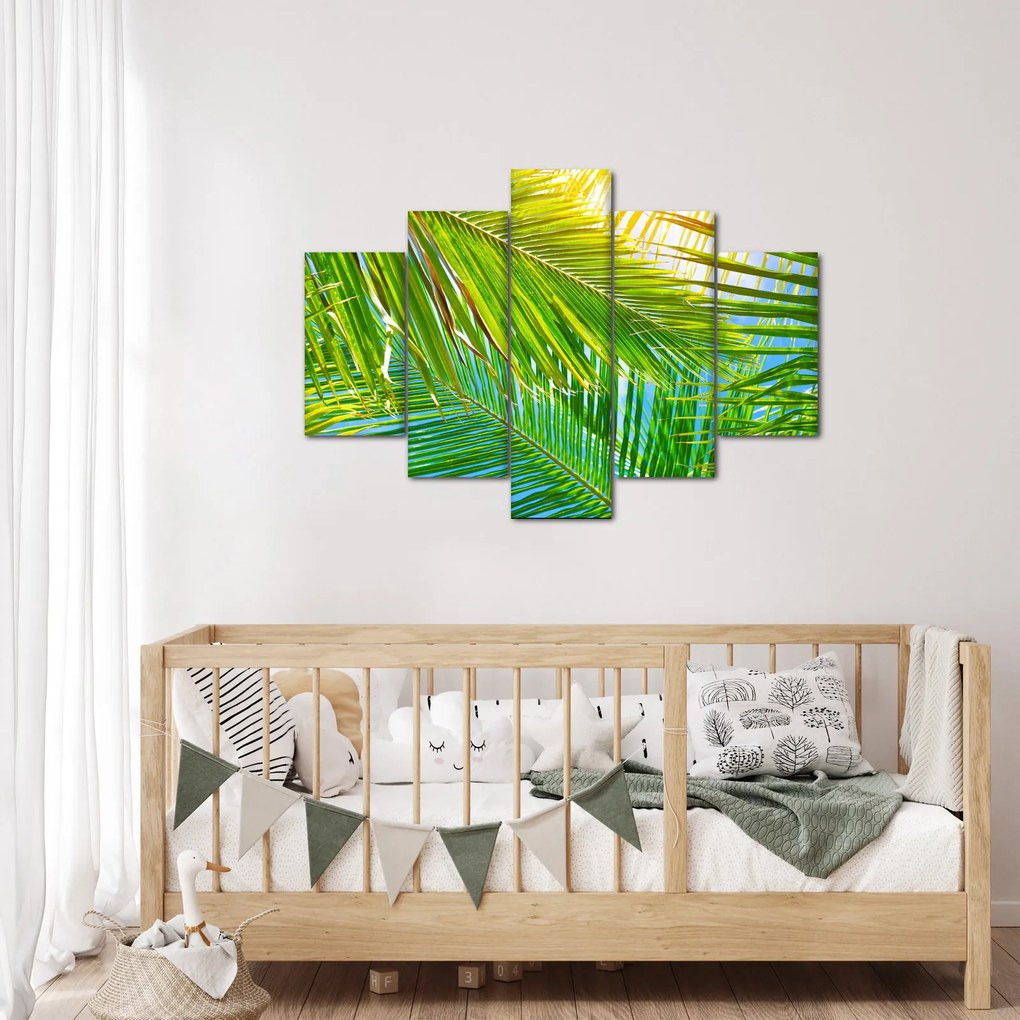Tablou - Frunze de palmier (150x105 cm)
