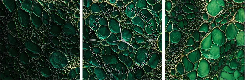 Tablou - Imagine microscopică verde (cu ceas) (90x30 cm)