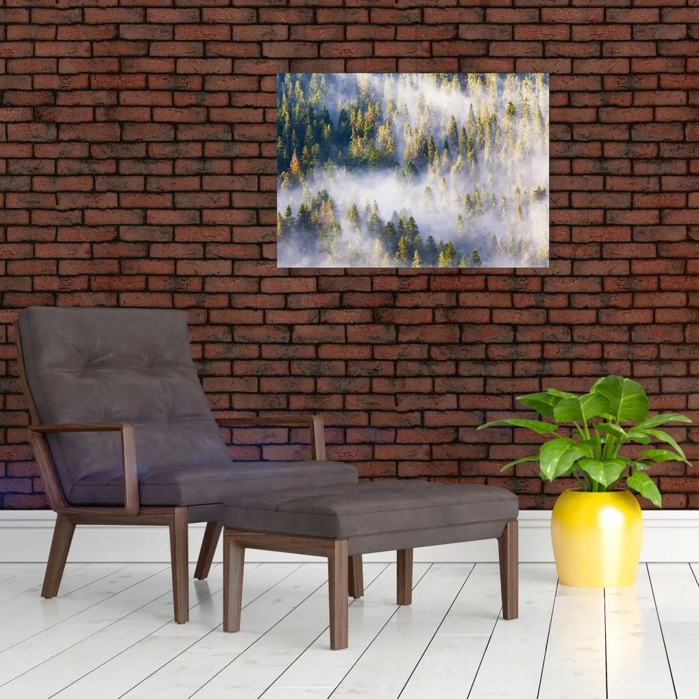 Tablou pe sticlă - Copac în ceață (70x50 cm)