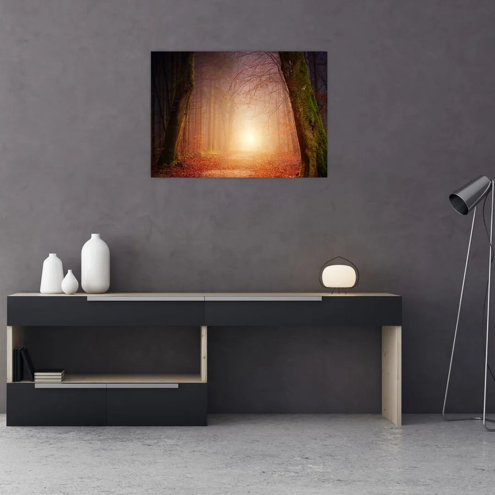 Tablou cu pădurea toamna în ceață (70x50 cm)